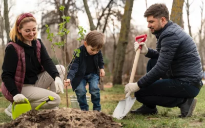 Guía Detallada: Cómo Plantar un Árbol Frutal con Éxito 🌳🍎