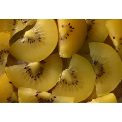 Kiwi Minkigold (Hembra)