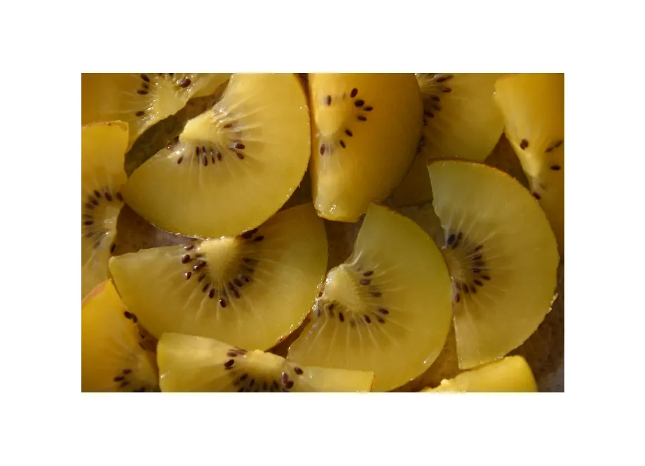 Kiwi Minkigold (Hembra)